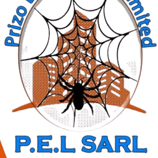 Prizo Engineering Limited